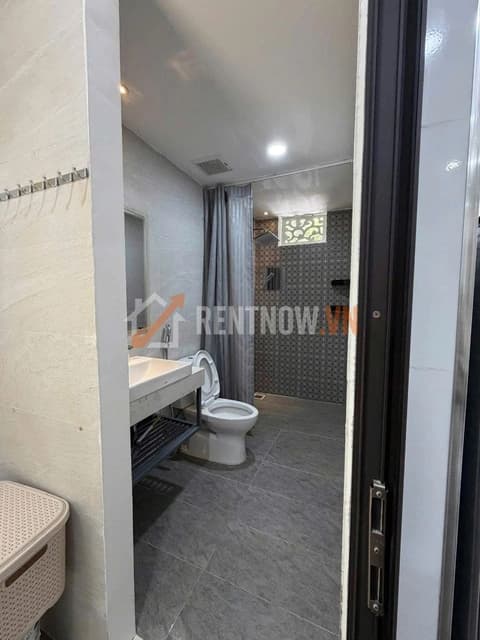 Garden house for rent on Ly Tu Trong street, 60m2, fully furnished