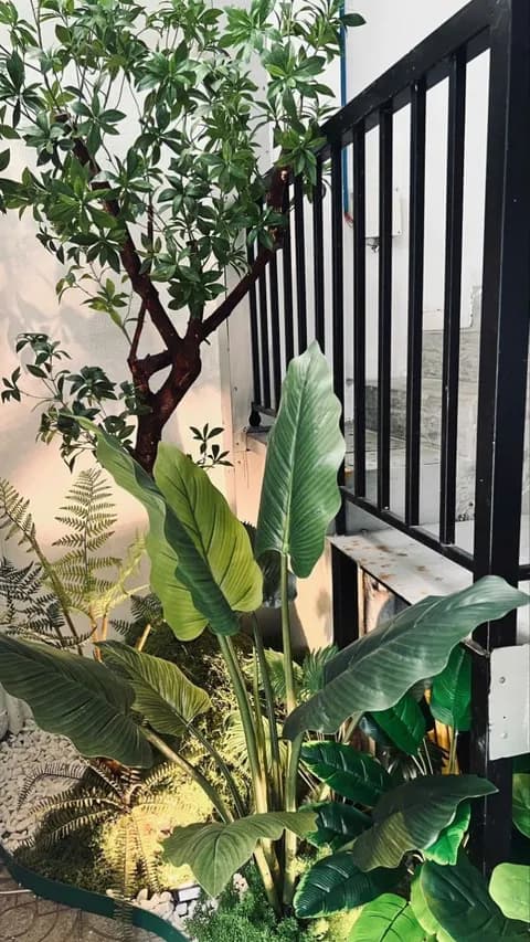 2-Story House for Rent on Pham Van Street, Da Nang - Dual Apartment Layout